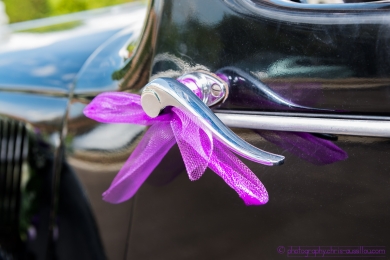 4 - Détail de la Traction - 213 -©S - copie.jpg