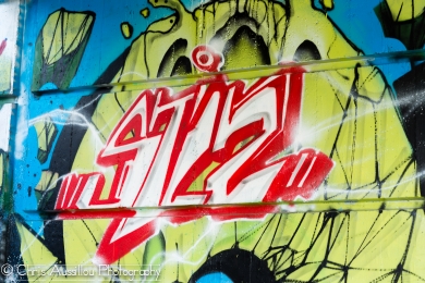 Tag_Bastille_mai_2013_21_site.jpg