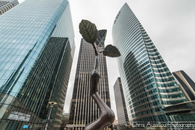 La_Plante_et_les_Géants_de_La_Défense__Site_26.jpg