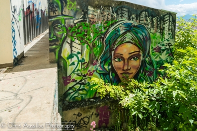 Tag_Bastille_mai_2013_13_site.jpg