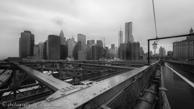 23-Brooklin Bridge-3-241-©S.jpg