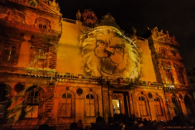47 - Fête des lumières Lyon - 4730 - XS - copie.jpg