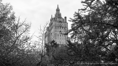 40-Vue depuis Central Park-2-595-S©-N&B.jpg