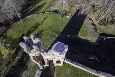 11-Chateau Bressieux aérien -0119-©XM - copie.jpg