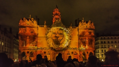85 - Fête des lumières Lyon - 4789 - ©S - copie.jpg