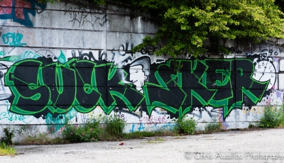 Tag_Bastille_mai_2013_8_site.jpg