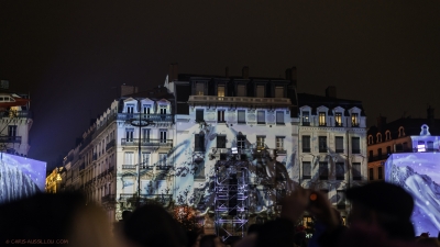 10 - Fête des lumières Lyon - 4611 - ©S - copie.jpg