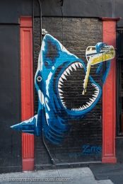  New York -1-159  XS ©.jpg