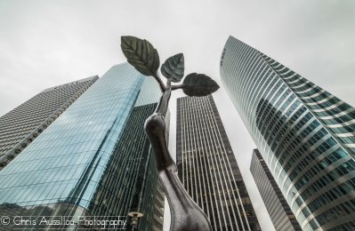 La_Plante_et_les_Géants_de_La_Défense__Site_27.jpg